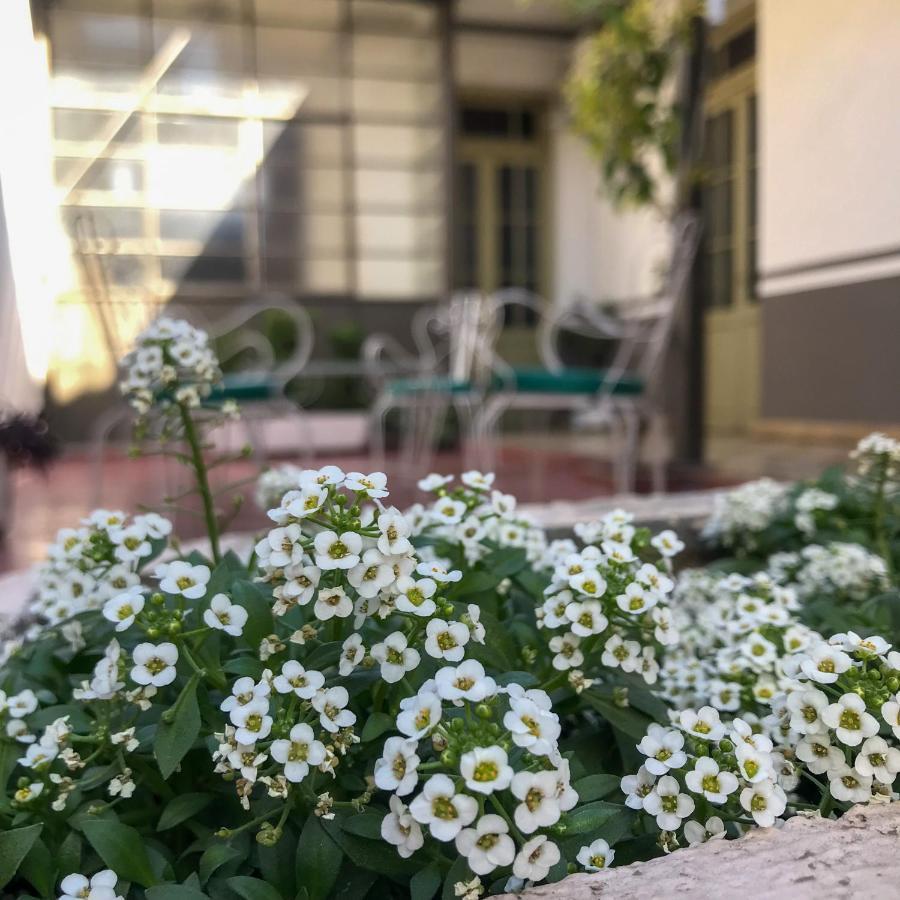 فيلا Alem Colonial - ميندوزا المظهر الخارجي الصورة